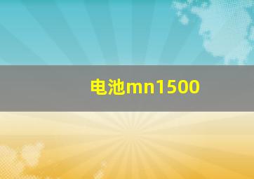 电池mn1500