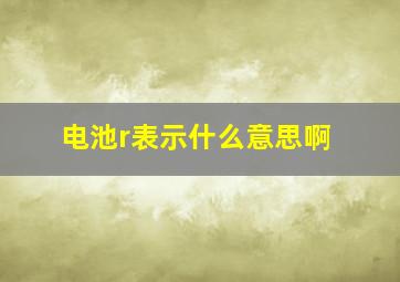 电池r表示什么意思啊