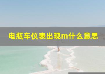 电瓶车仪表出现m什么意思