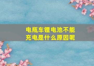 电瓶车锂电池不能充电是什么原因呢