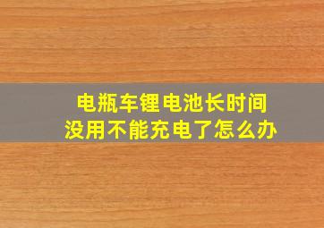 电瓶车锂电池长时间没用不能充电了怎么办