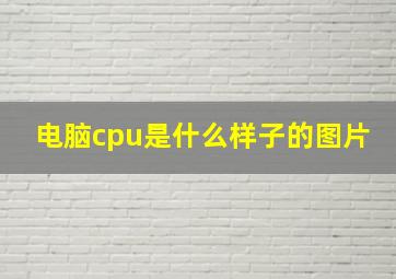 电脑cpu是什么样子的图片