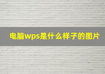 电脑wps是什么样子的图片