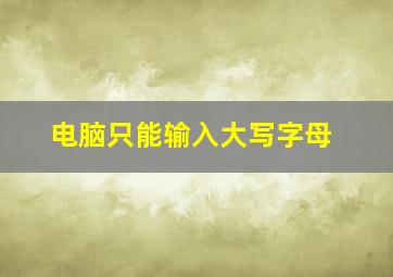 电脑只能输入大写字母