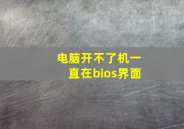 电脑开不了机一直在bios界面