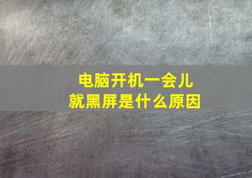 电脑开机一会儿就黑屏是什么原因