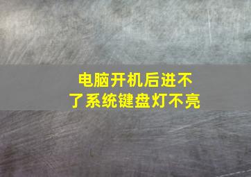 电脑开机后进不了系统键盘灯不亮