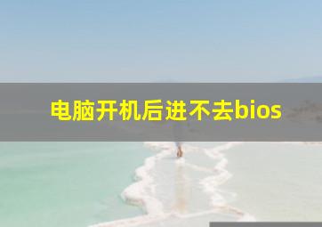 电脑开机后进不去bios