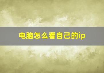 电脑怎么看自己的ip