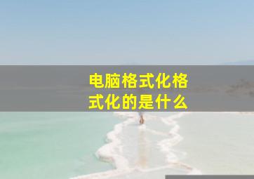 电脑格式化格式化的是什么