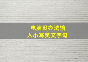 电脑没办法输入小写英文字母