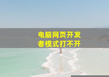 电脑网页开发者模式打不开