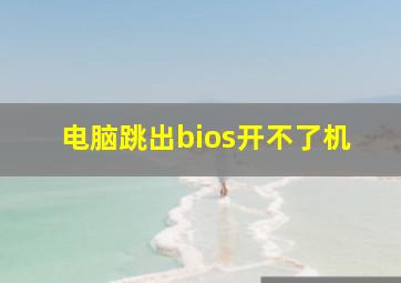 电脑跳出bios开不了机