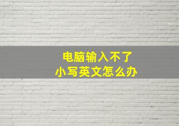 电脑输入不了小写英文怎么办