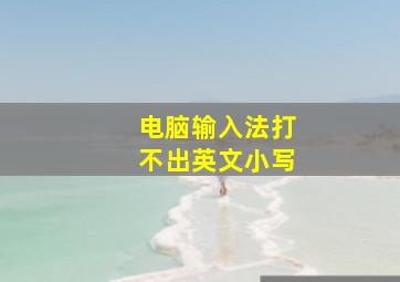 电脑输入法打不出英文小写