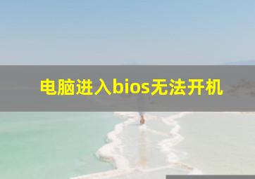 电脑进入bios无法开机