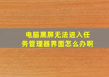 电脑黑屏无法进入任务管理器界面怎么办啊