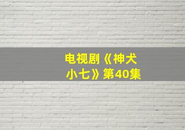 电视剧《神犬小七》第40集