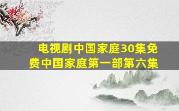 电视剧中国家庭30集免费中国家庭第一部第六集