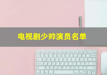 电视剧少帅演员名单