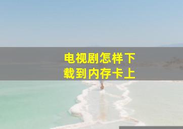 电视剧怎样下载到内存卡上