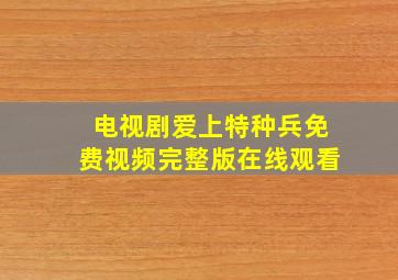 电视剧爱上特种兵免费视频完整版在线观看