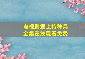 电视剧爱上特种兵全集在线观看免费