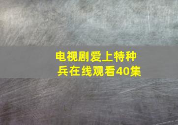 电视剧爱上特种兵在线观看40集