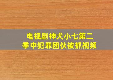 电视剧神犬小七第二季中犯罪团伙被抓视频