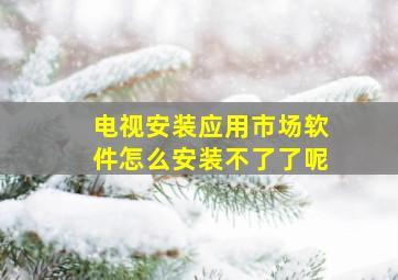 电视安装应用市场软件怎么安装不了了呢