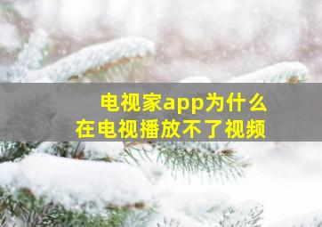 电视家app为什么在电视播放不了视频