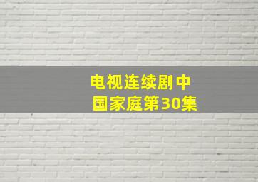 电视连续剧中国家庭第30集