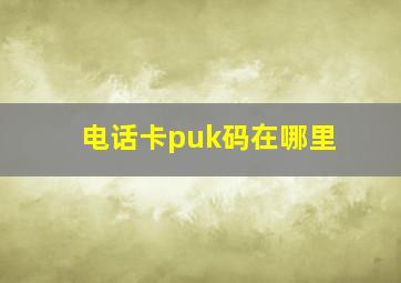 电话卡puk码在哪里