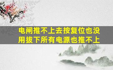 电闸推不上去按复位也没用拔下所有电源也推不上