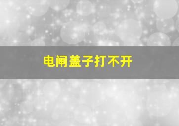 电闸盖子打不开