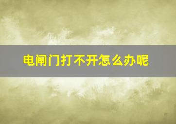 电闸门打不开怎么办呢