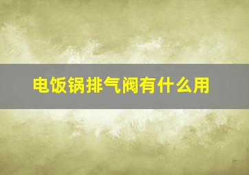 电饭锅排气阀有什么用