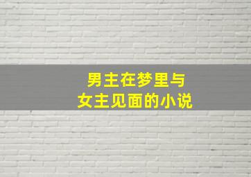 男主在梦里与女主见面的小说