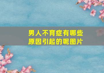 男人不育症有哪些原因引起的呢图片