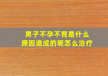 男子不孕不育是什么原因造成的呢怎么治疗