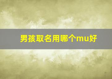 男孩取名用哪个mu好