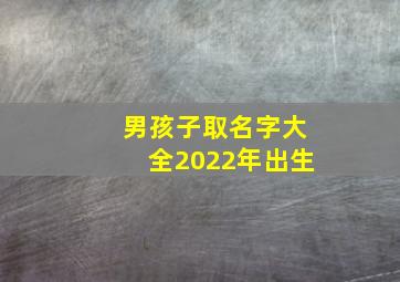 男孩子取名字大全2022年出生