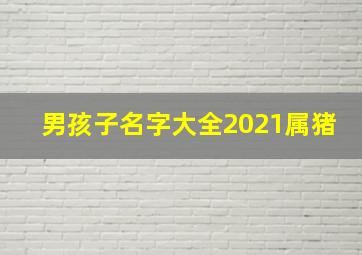 男孩子名字大全2021属猪