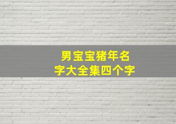 男宝宝猪年名字大全集四个字