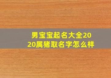 男宝宝起名大全2020属猪取名字怎么样