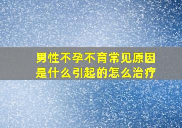 男性不孕不育常见原因是什么引起的怎么治疗