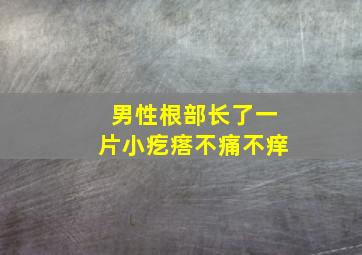 男性根部长了一片小疙瘩不痛不痒