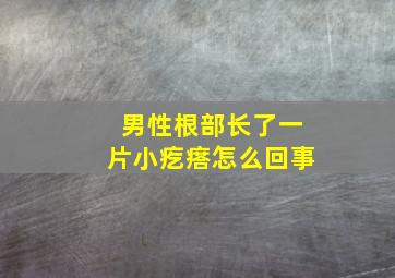 男性根部长了一片小疙瘩怎么回事