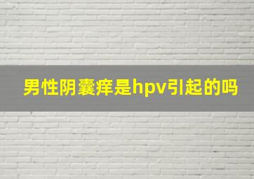 男性阴囊痒是hpv引起的吗