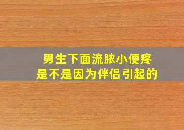 男生下面流脓小便疼是不是因为伴侣引起的